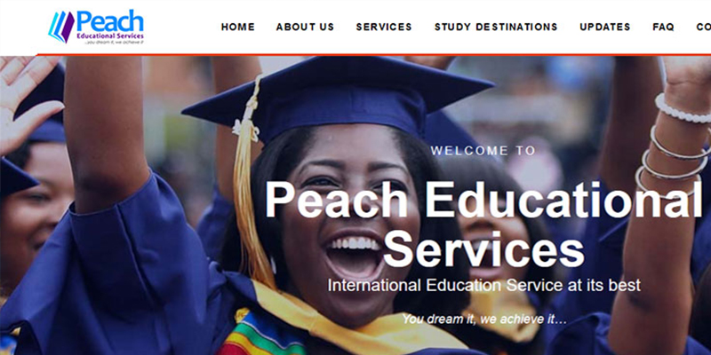 peach educational website design