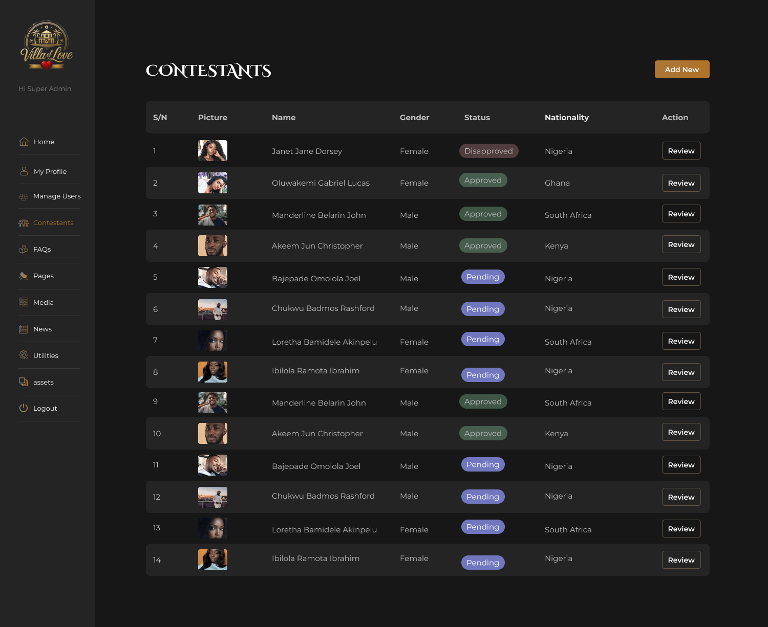villa of love naija website design by dientweb